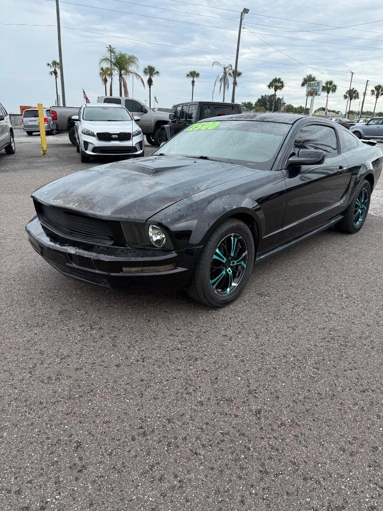 2008 Ford Mustang's photo